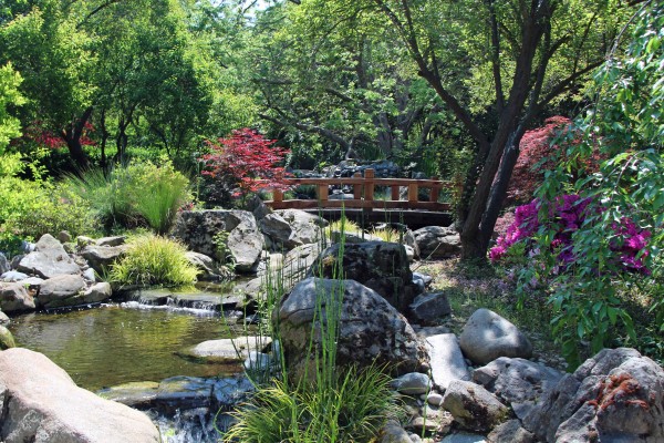 Shinzen Japanese Garden Merced County Events