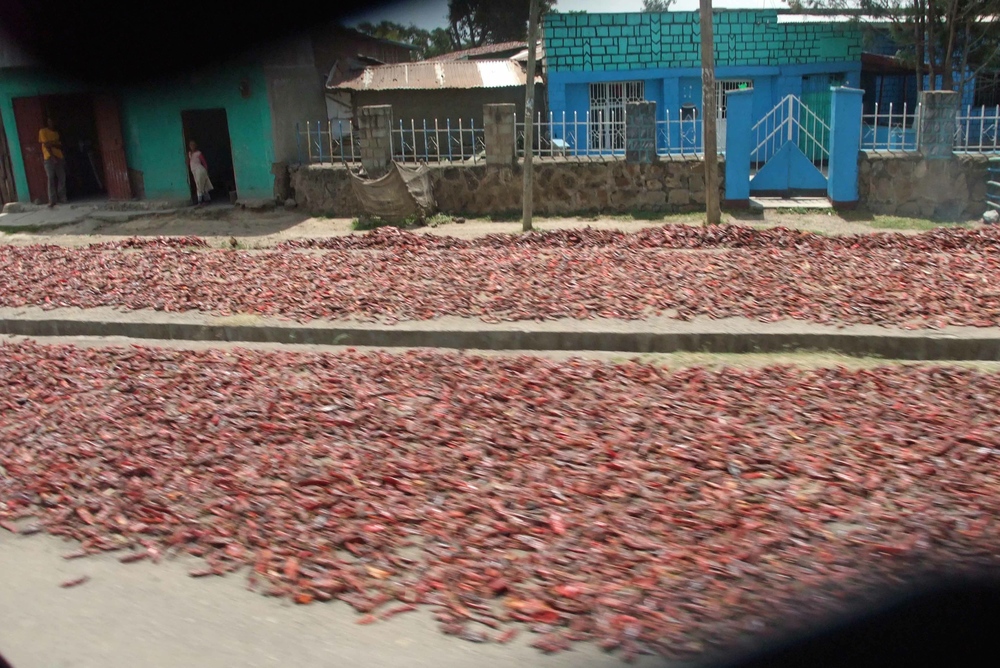 Drying Peppers on Remote Roads