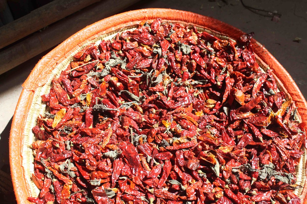 Mitmita: Bird's Eye Chilis and Korerima (Ethiopian Cardamom) Drying.