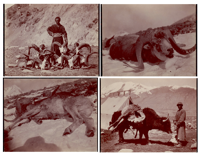 Kirghiz Hunters late 19th Century Wakhan Corridor
