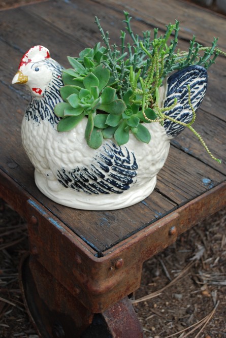 Succulent-Potted Vintage Hen
