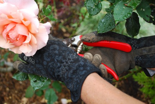 Gardening With Ethel Gloves