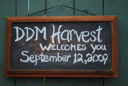 Harvest Welcome