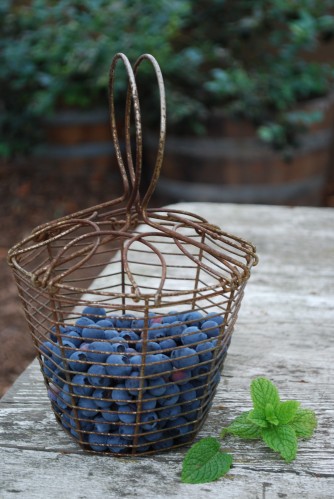 Just-Picked Blueberries In Vintage Berry Basket 