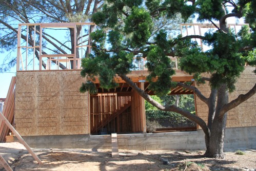 Our Barn Emerging