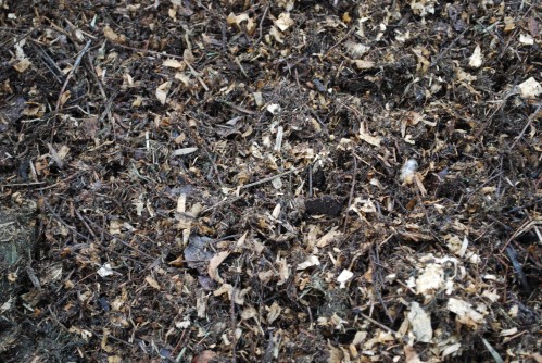The Many Surprising Benefits of Compost