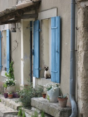 What's Not to Love About Provence?
