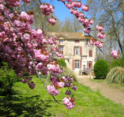 Chateau Roussan, A Secret Garden
