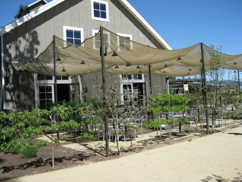 Espaliered Fruit Trees Perimeter Outdoor Dining Area