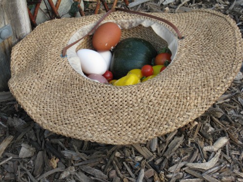 Eggs, Squash, Cherry Tomatoes Inside My Garden Hat