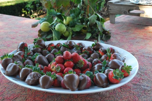 Chocolate-Dipped Strawberries at Harvest