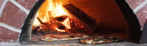 wood burning pizza oven