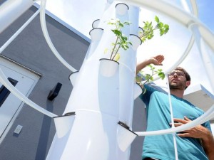 rooftop garden initiative in downtown Greenville SC