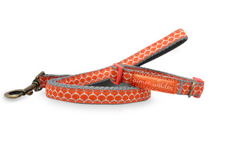 Keep him on a leash.  Aimee Wilder’s Circus Dog Collar & Leash Set is the perfect blend of fabulous and functional. I just bought this on Gilt … get one before they sell out! 
