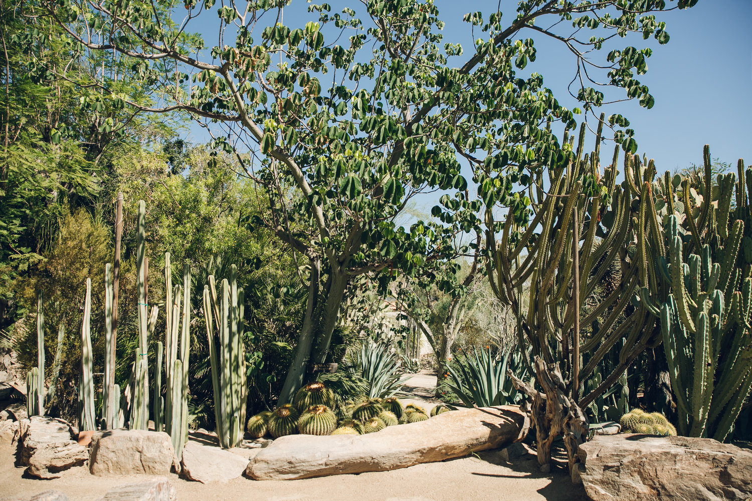 Moorten Botanical Garden In Palm Springs California Haarkon