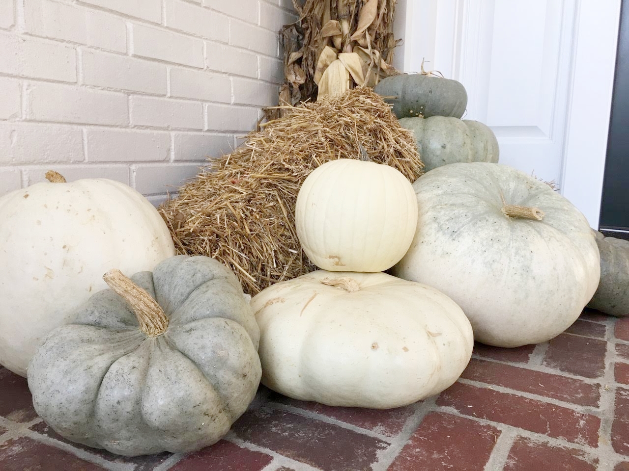  Gray, Green and White Pumpkins 