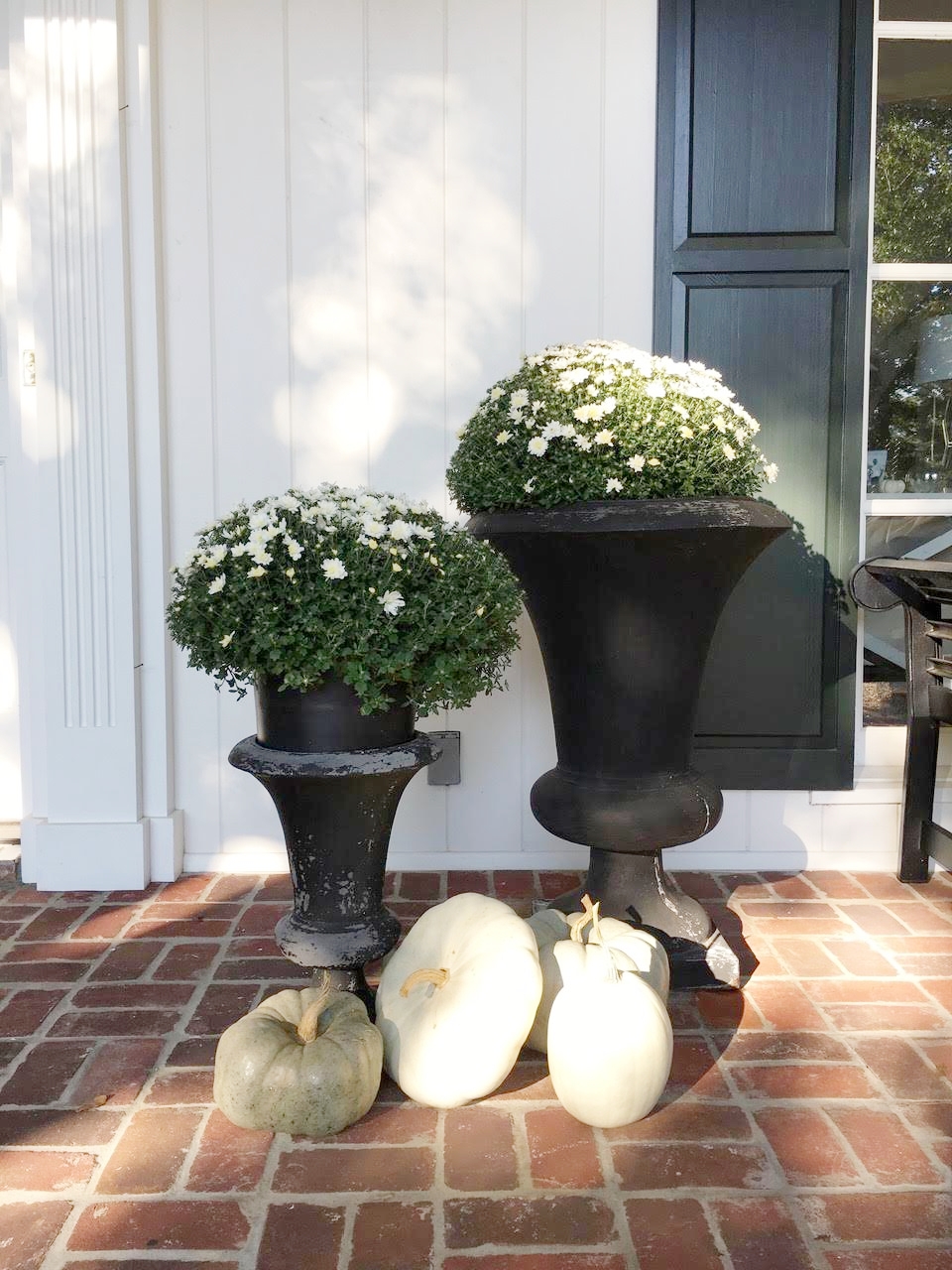  Fall Front Porch White Mums 