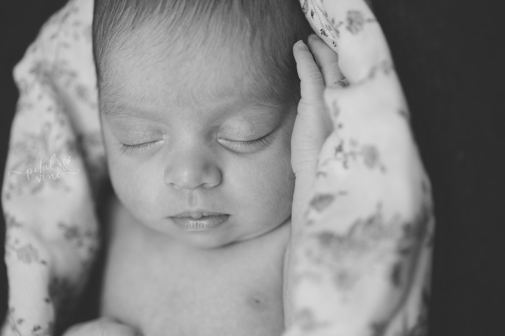 Brandon Newborn Photography: Baby Priya