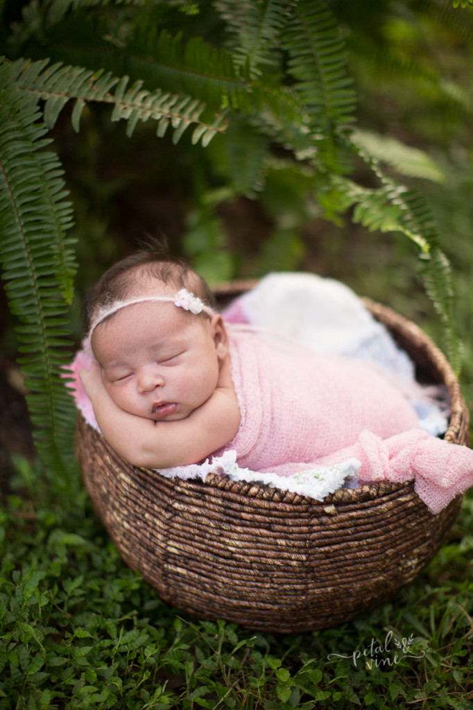 Tampa Adoption Photographer: Newborn Baby L-4869