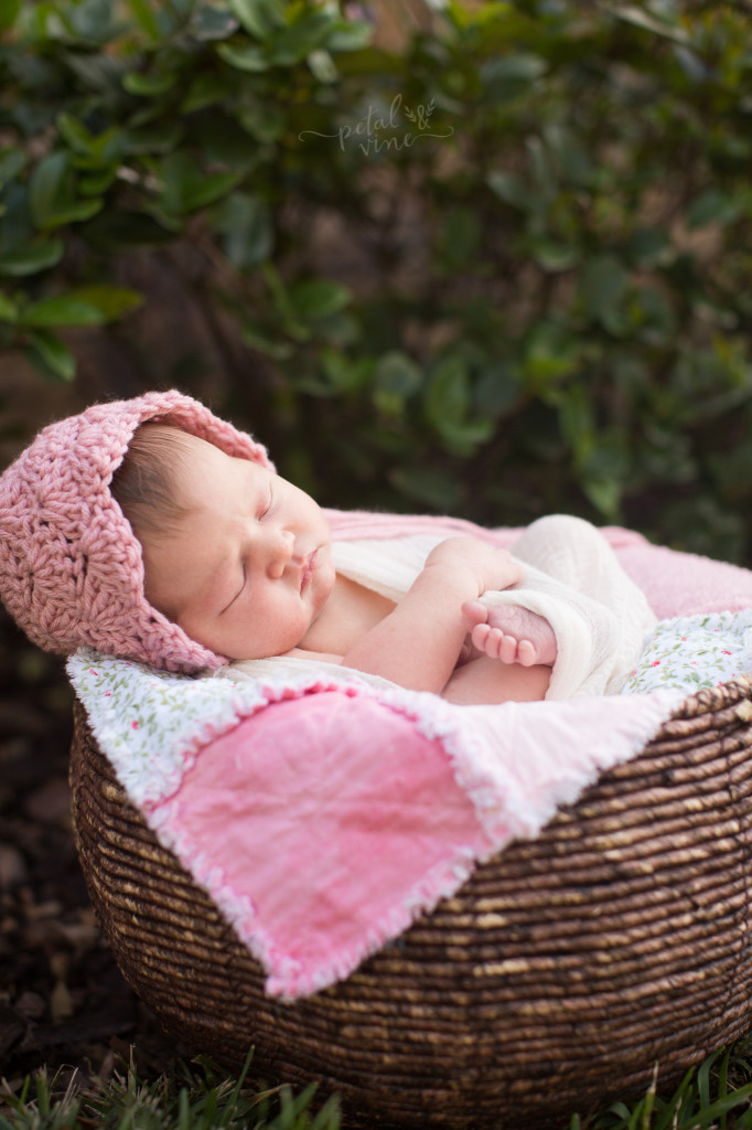 Lakeland Newborn Photographer: Sweet Hattie Mae -9691