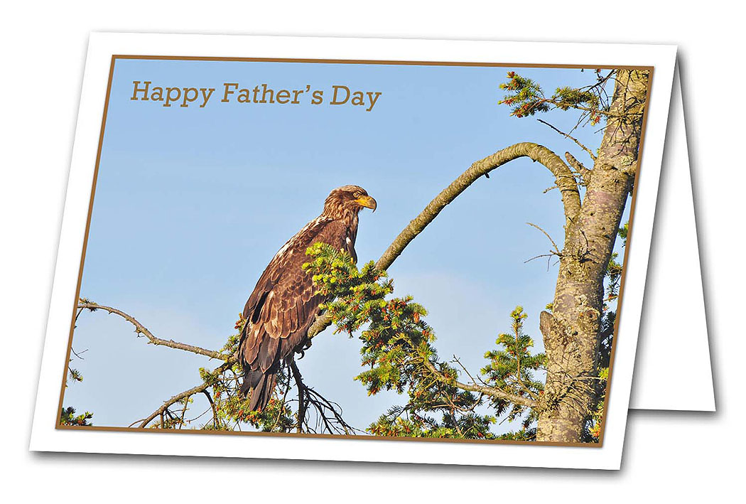 Father's Day Juvenile Bald Eagle' Scripture Greeting Card — BCDesign