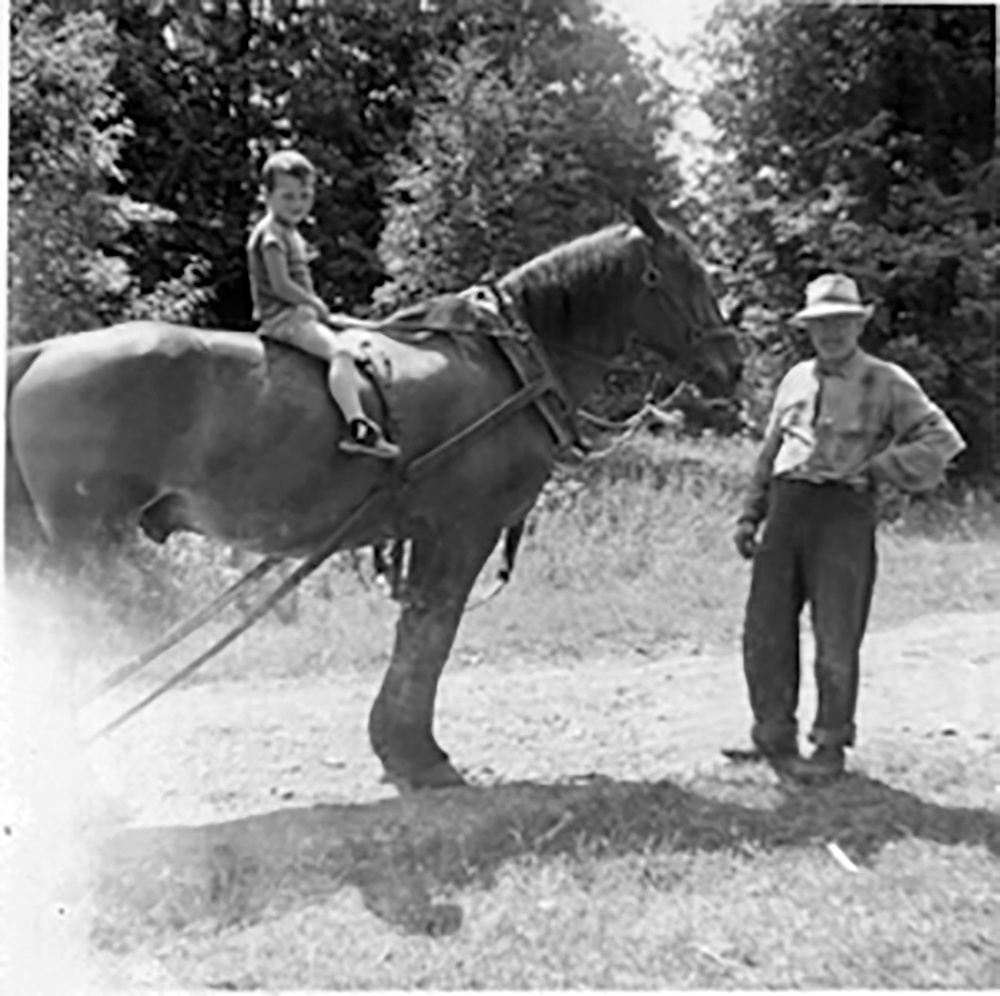 Willie Mulrooney’s workhorse Nellie features in many memories of visitors to his cottages on Stoco Lake, and Mulrooney himself is remembered as a popular figure.  Photo courtesy Judi Libman / The Tweed News