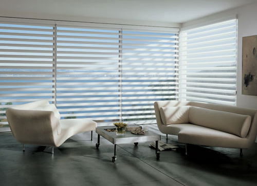 austintatious blinds-treatments