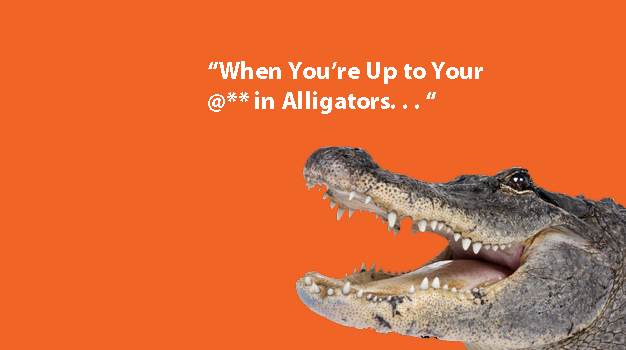 Up To My Ass In Alligators 19