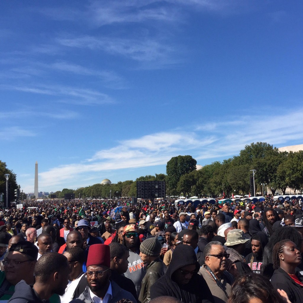 Million Man March 2015 - Crowd of Men