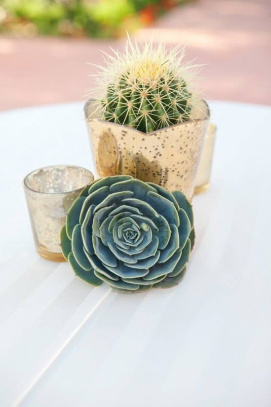 wedding cactus decor
