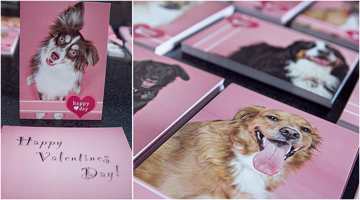 doggie valentines day cards