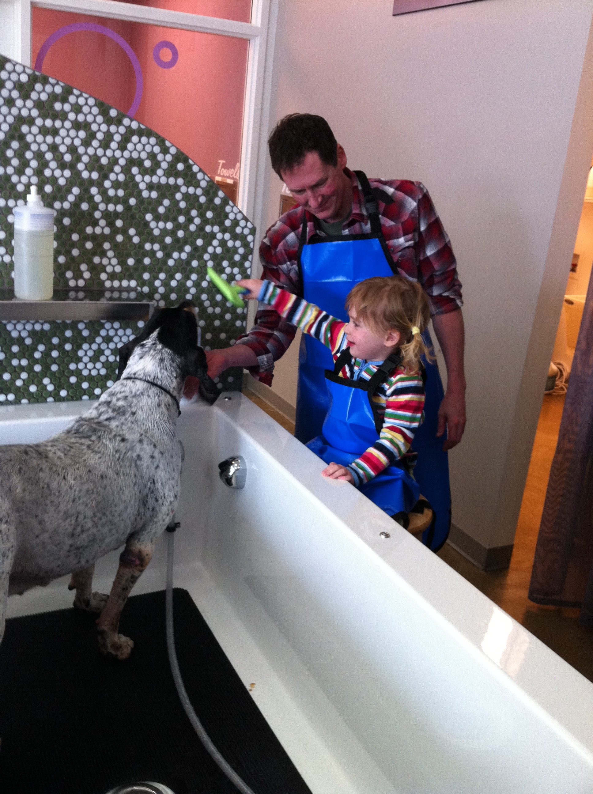 Belle gets a bath at the dog wash