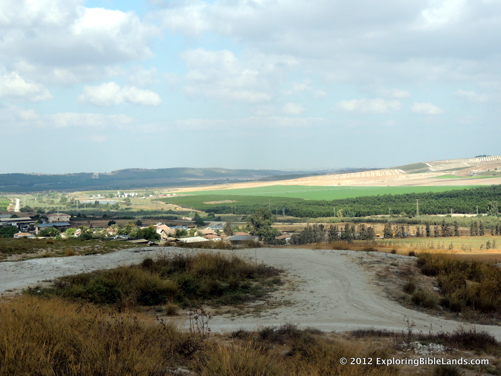 Looking west down the Sorek Valley from the tel at Beth Shemesh.