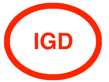 International Gate Devices Inc