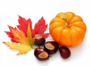 3226015-autunno-decorazione-da-zucca-colorfull-foglie-e-castagne