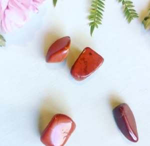 Red Jasper Stone: Benefits, How to Use, Chakra Placement, and Healing Tips  Crystals for Beginners — Spiritual And MInd Wellness