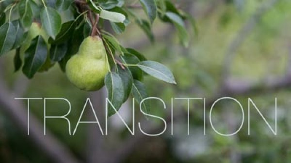 Transition Farm - Palate Movie