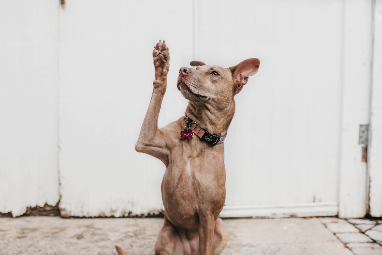High five for our top five teaching strategies! – Retrieval Practice