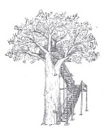 Tree platform.jpg