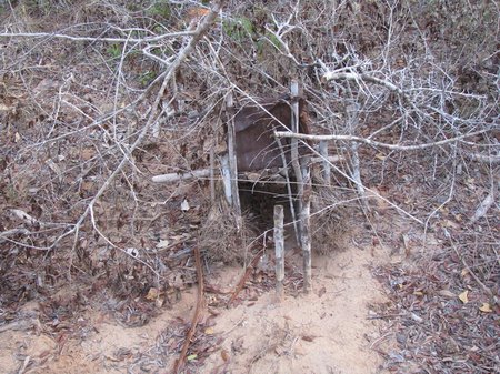Mongoose trap