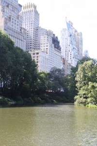 Central Park is my homeboy