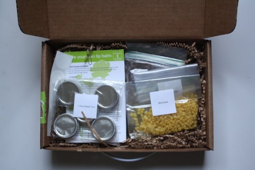 New Dress A Day - Make Your Own Lip Balm Kit - Uncommon Goods