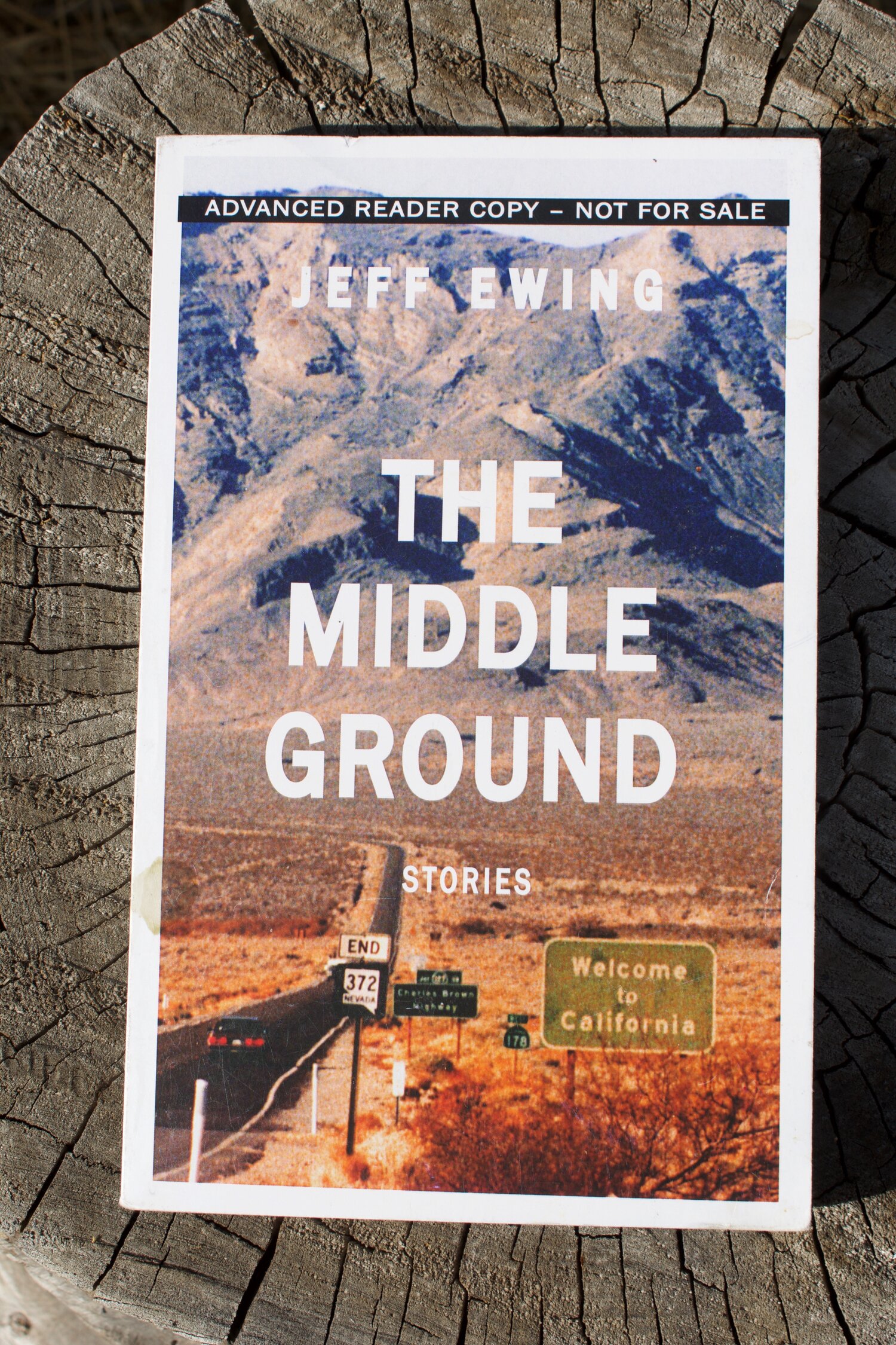 The Middle Ground Stories By Jeff Ewing