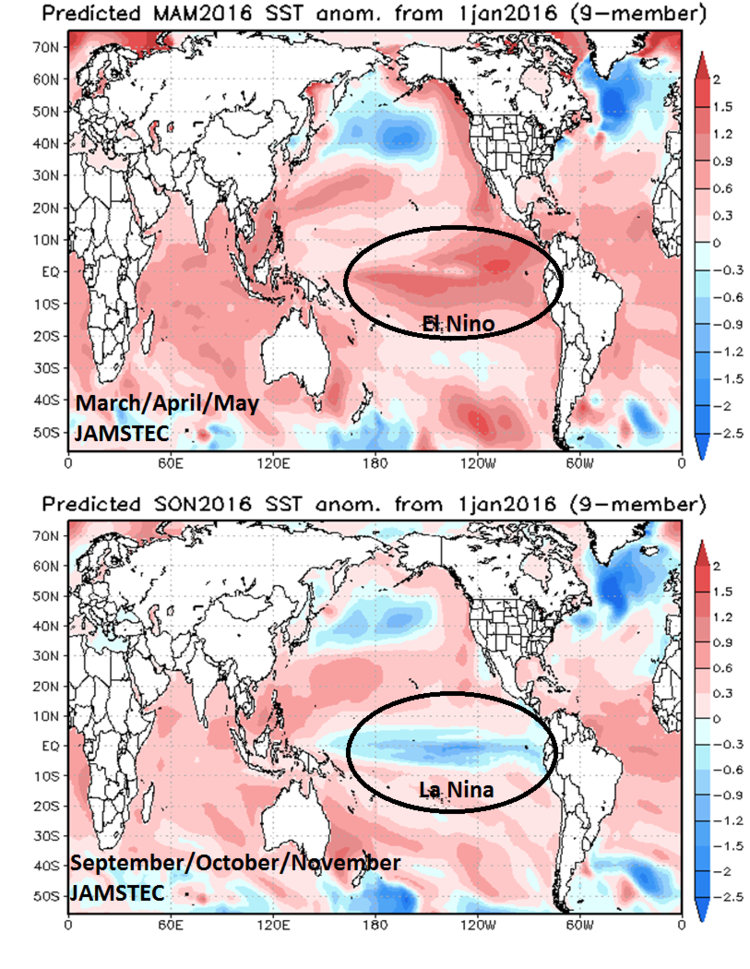 JAMSTEC sea surface temperature anomaly forecast maps for the March/April/May and September/October/November time periods; courtesy Japan Meteorological Agency