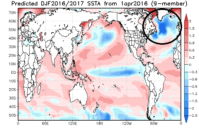 JAMSTEC model forecast of sea surface temperature anomalies for winter season 2016-2017; courtesy Japan Agency for Marine-Earth Science and Technology