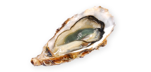 Oysters – The ultimate aphrodisiac that will turbo charge anyone’s sex drive. 