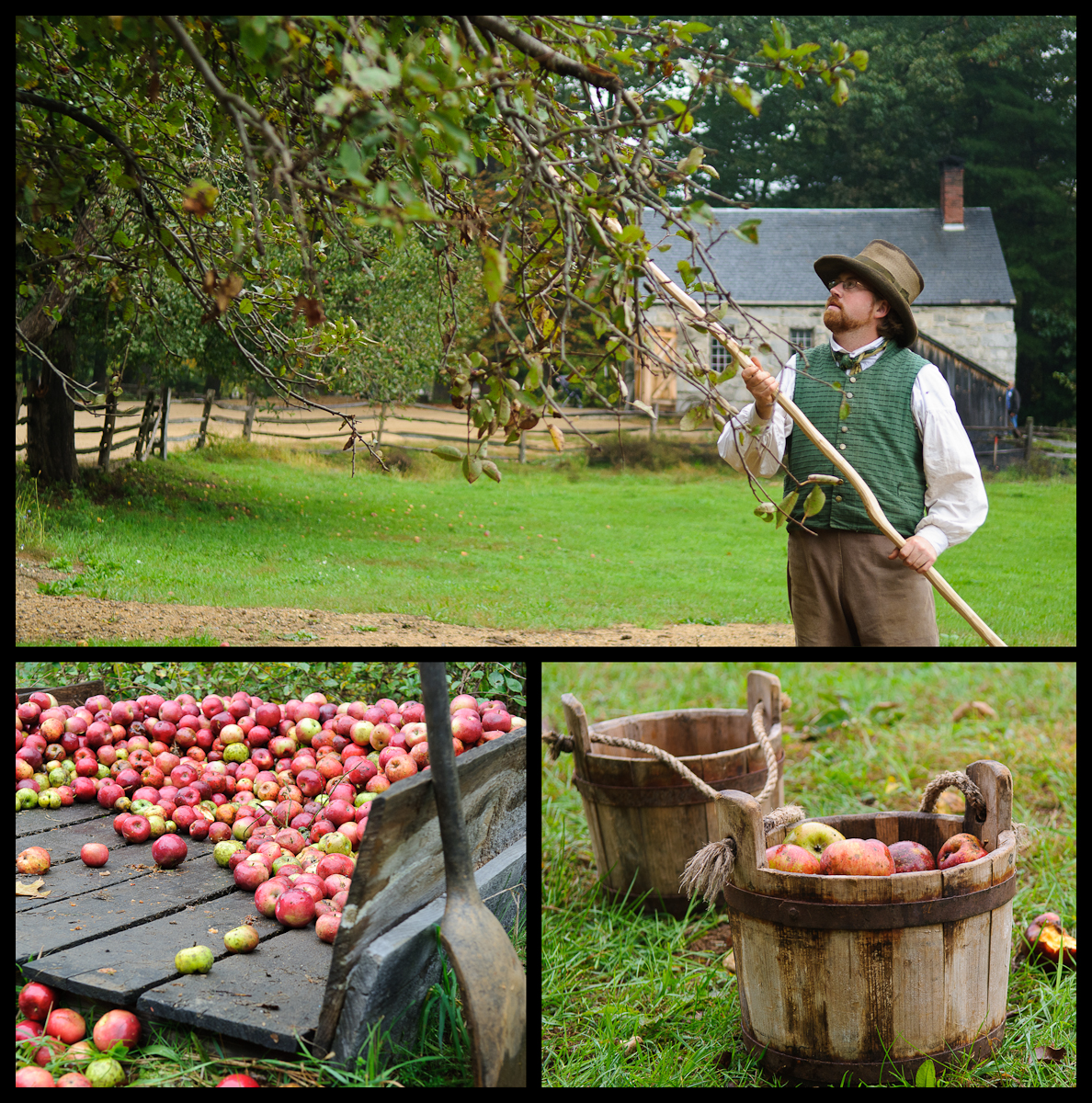 apples at Sturbridge Village