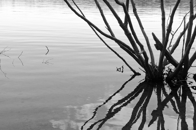 Walden Pond