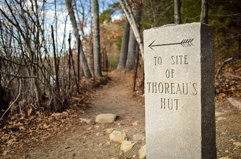 Walden Pond Thoreau
