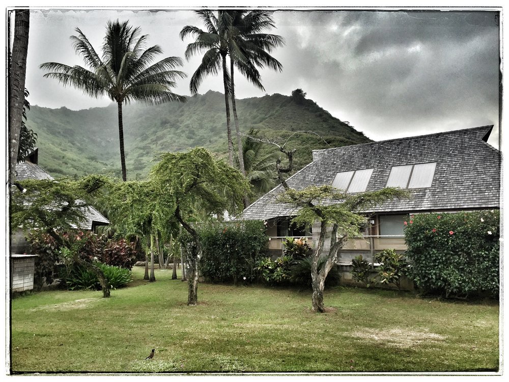 View of the grounds at the Hilton, Moorea.  The steep mountain in the background is Mt. Rotui.